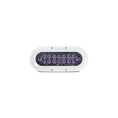 OCEAN LED LED X16 XTREME COLOURS